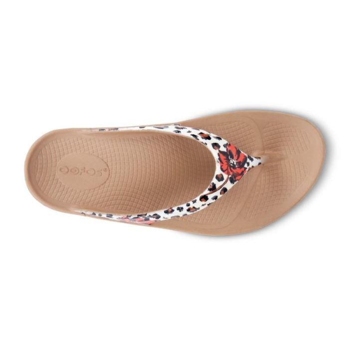 Oofos Canada Women's OOlala Limited Sandal - Leopard Flora